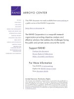 After Saddam- Prewar Planning and the Occupation of Iraq pot