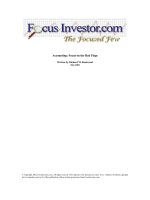 ACCOUNTING: FOCUS ON THE RED FLAGS pot