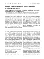 Báo cáo khóa học: Effects of Escherichia coli ribosomal protein S12 mutations on cell-free protein synthesis doc