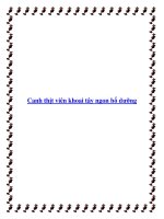 Canh thịt viên khoai tây ngon bổ dưỡng pdf