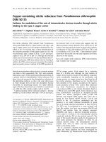 Báo cáo khoa học: Copper-containing nitrite reductase fromPseudomonas chlororaphis DSM 50135 Evidence for modulation of the rate of intramolecular electron transfer through nitrite binding to the type 2 copper center pot