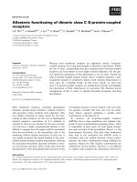 Báo cáo khoa học: Allosteric functioning of dimeric class C G-protein-coupled receptors doc