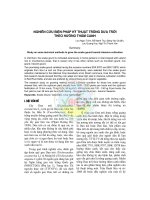 Nghiên cứu biện pháp kỹ thuật trồng dưa trời theo hướng thâm canh pot