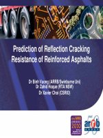 Prediction of Reflection Cracking Resistance of Reinforced Asphalts - Dr Binh Vuong (ARRB/Swinburne Uni) pot