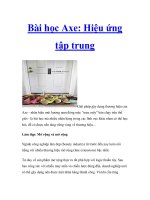 Bài học Axe: Hiệu ứng tập trung ppt