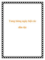 Tưng bừng ngày hội các dân tộc pdf