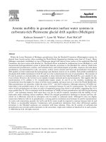 Arsenic mobility in groundwater surface water systems in carbonate rich pleistocene glacial drift aquife