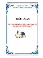 TIỂU LUẬN: Hệ Thống Kiểm Tra Chất Lượng Trong QT Sản Xuất Cà Phê 03 Trong 01 pptx