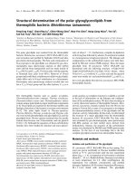 Báo cáo khoa học: Structural determination of the polar glycoglycerolipids from thermophilic bacteria Meiothermus taiwanensis pdf
