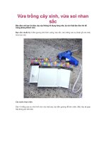 Vừa trồng cây xinh, vừa soi nhan sắc ppt