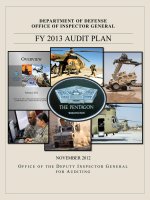 Office of the Deputy Inspector General for Auditing FY 2013 Audit Plan ppt