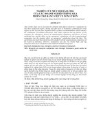 NGHIÊN CỨU MỨC ĐỘ HÀI LÒNG CỦA CÁC DOANH NGHIỆP THÔNG QUA PHIÊN CHỢ HÀNG VIỆT VỀ NÔNG THÔN potx