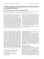 Báo cáo khoa học: A 49 kDa microtubule cross-linking protein from Artemia franciscana is a coenzyme A-transferase pdf