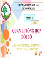 BÁO CÁO ĐỀ TÀI QUẢN LÍ TỔNG HỢP ĐỚI BỜ potx