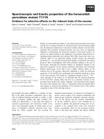 Báo cáo khoa học: Spectroscopic and kinetic properties of the horseradish peroxidase mutant T171S Evidence for selective effects on the reduced state of the enzyme potx