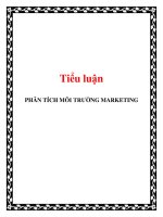 Tiểu luận: PHÂN TÍCH MÔI TRƯỜNG MARKETING pot