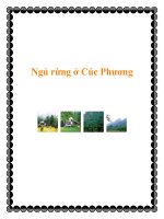 Ngủ rừng ở Cúc Phương doc