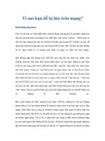 Vì sao bạn dễ bị lừa trên mạng? pptx