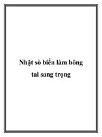 Nhặt sò biển làm bông tai sang trọng pptx