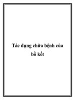 Tác dụng chữa bệnh của bồ kết pdf