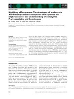 Báo cáo khoa học: Multidrug efflux pumps: The structures of prokaryotic ATP-binding cassette transporter efflux pumps and implications for our understanding of eukaryotic P-glycoproteins and homologues ppt