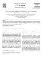 growth, structure and electrical conduction of wo3 nanorods