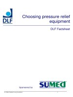 Choosing pressure relief equipment DLF Factsheet pptx
