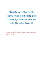 Phát hiện mới về loài Cá Sộp Channa striata (Bloch) trong giống Channa, họ Channidae ở các tỉnh miền Bắc và Bắc Trung bộ pptx