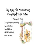 Ứng dụng của Protein trong Công Nghệ Thực Phẩm doc