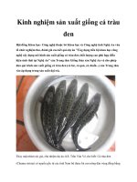 Kinh nghiệm sản xuất giống cá tràu đen doc