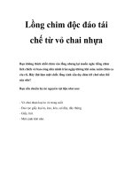 Lồng chim độc đáo tái chế từ vỏ chai nhựa pdf