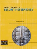 CISSP Guide to Security Essentials pptx