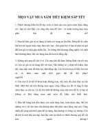 MẸO VẶT MUA SẮM TIẾT KIỆM SẮP TẾT pdf