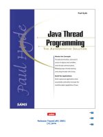 Java Thread Programming doc