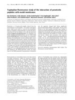 Báo cáo Y học: Tryptophan ﬂuorescence study of the interaction of penetratin peptides with model membranes pdf