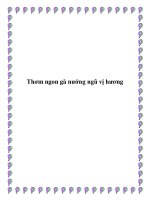 Thơm ngon gà nướng ngũ vị hương pot