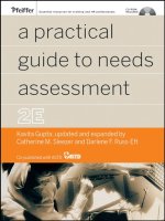 A practical guide to needs assessment pot