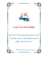 luận văn: Thị trường hàng điện tử Việt Nam,thực trạng và giải pháp trong hội nhập kinh tế quốc tế pot