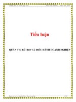 Tiểu luận: QUẢN TRỊ RỦI RO VÀ ĐIỀU HÀNH DOANH NGHIỆP pot