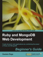 Ruby and MongoDB Web Development Beginner''''s Guide pot