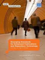 emerging standards for enhanced publications and repository technology docx