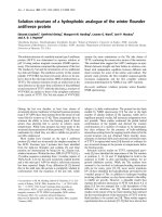 Báo cáo Y học: Solution structure of a hydrophobic analogue of the winter ﬂounder antifreeze protein doc