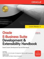 Oracle E-Business Suite Development and Extensibility Handbook docx