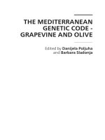 THE MEDITERRANEAN GENETIC CODE GRAPEVINE AND OLIVE pptx