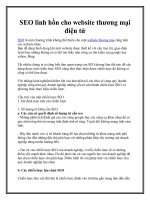 SEO linh hồn cho website thương mại điện tử pot