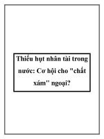 Thiếu hụt nhân tài trong nước: Cơ hội cho chất xám ngoại? pot