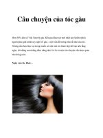 Câu chuyện của tóc gàu pdf