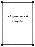 Thuốc giảm đau và thuốc kháng viêm potx