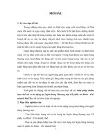 giải pháp nhằm hạn chế rủi ro tín dụng tại ngân hàng thương mại cổ phần an bình - chi nhánh huế