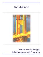 Bank Sales Training & Sales Management Programs potx